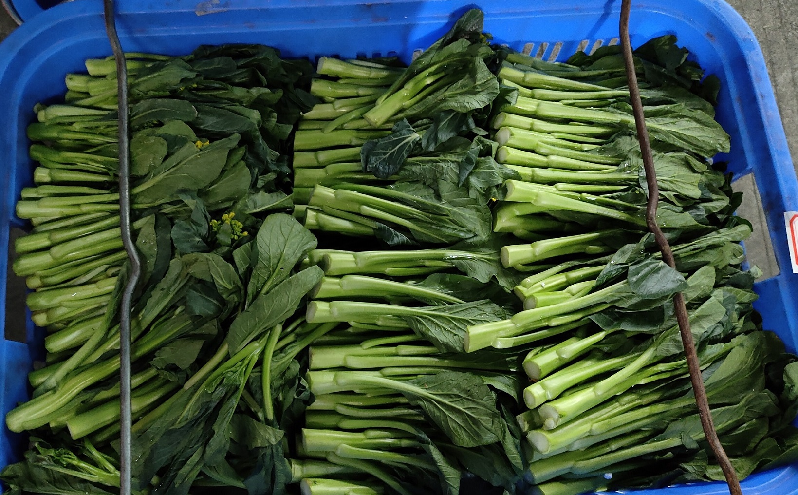当前食材配送行业存在哪些痛点