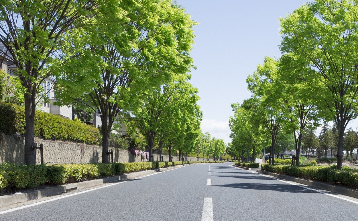为什么道路两旁果树上的果实尽量不要吃