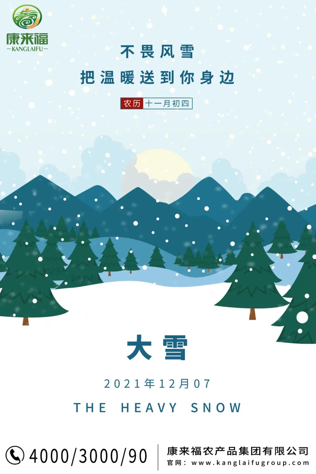 康来福大雪海报