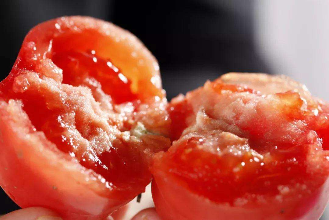 西红柿 (3).jpg