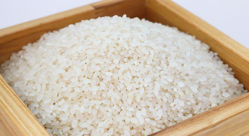 大米粮食