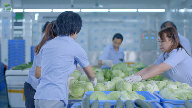  食材配送公司日常经营中常见的问题